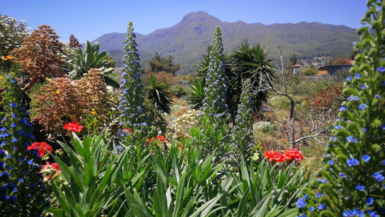 Finca Primavera 埃尔帕索 外观 照片