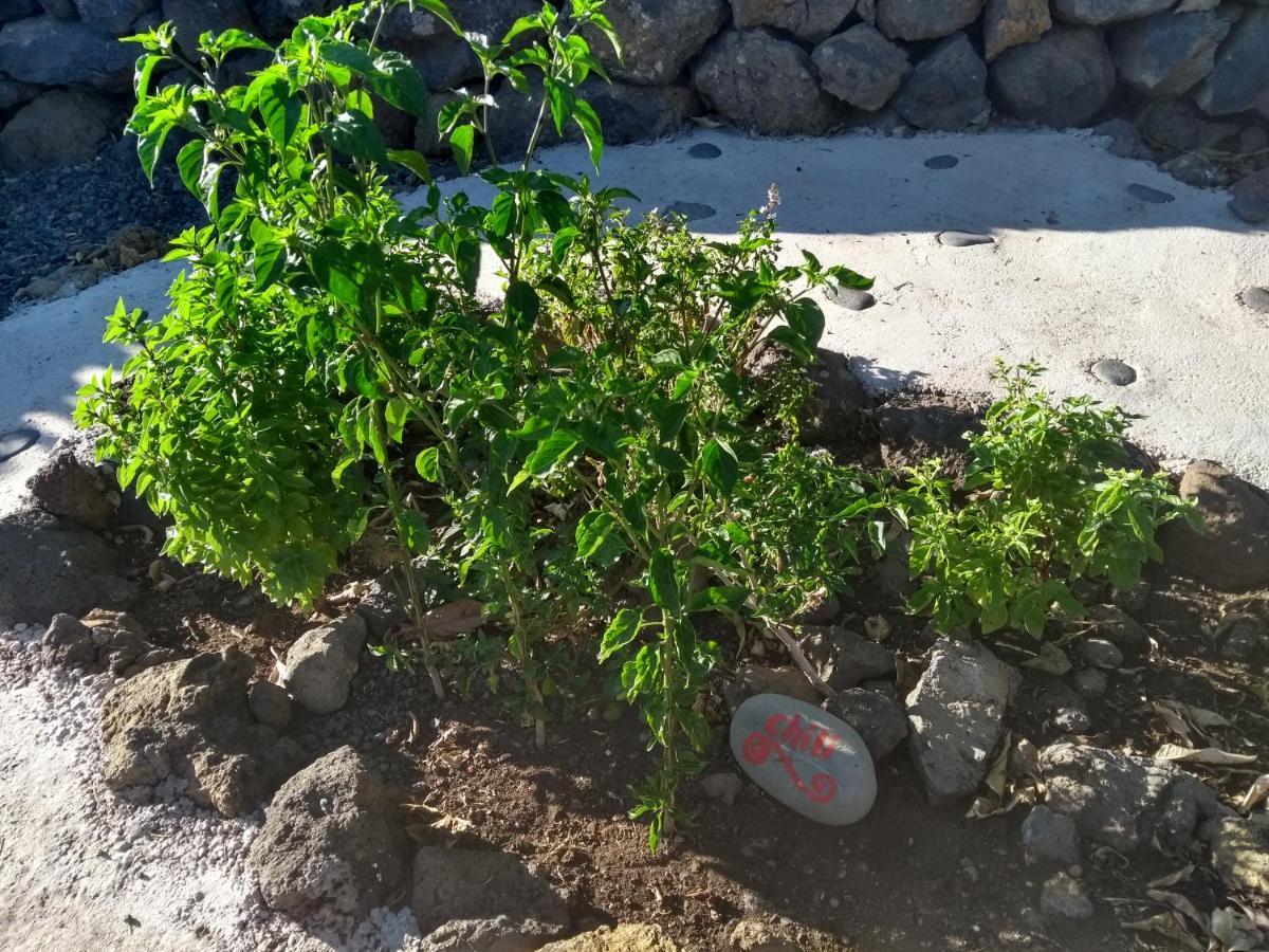 Finca Primavera 埃尔帕索 外观 照片